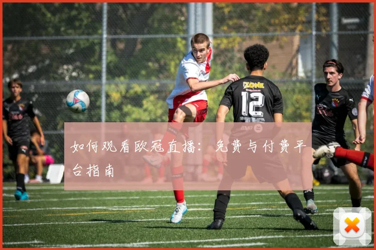 如何观看欧冠直播：免费与付费平台指南