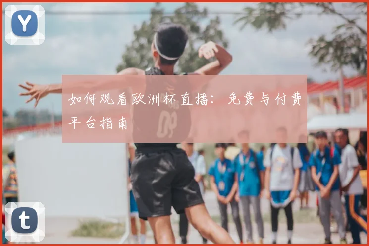 如何观看欧洲杯直播：免费与付费平台指南