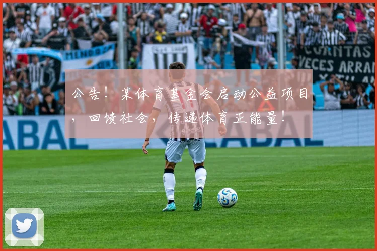 公告！某体育基金会启动公益项目，回馈社会，传递体育正能量！
